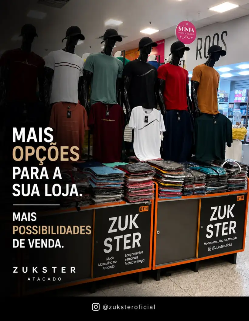 Camiseta Lisa Colorida